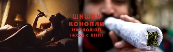 ПСИЛОЦИБИНОВЫЕ ГРИБЫ Нефтекумск