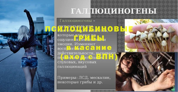 ПСИЛОЦИБИНОВЫЕ ГРИБЫ Нефтекумск