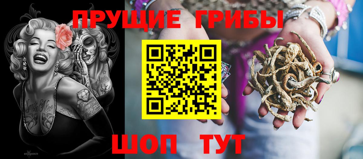 Псилоцибиновые грибы Psilocybine cubensis  Торжок 