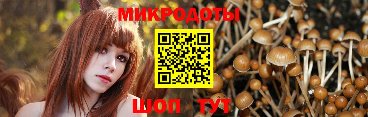 Торжок  Галлюциногенные грибы GOLDEN TEACHER  Вход с VPN 