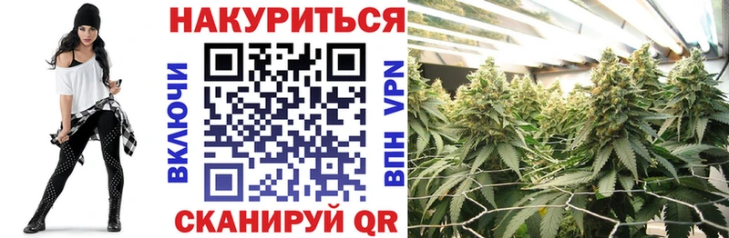 Канабис OG Kush Торжок